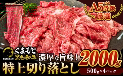 くまもと黒毛和牛 ウデ・モモ 赤身切り落とし 2000g 牛肉 冷凍 《7-14営業日以内に出荷予定(土日祝除く)》冷凍庫 個別 取分け 小分け 個包装 モモ スライス 肉 お肉 しゃぶしゃぶ すき焼き A5 A4 長洲町