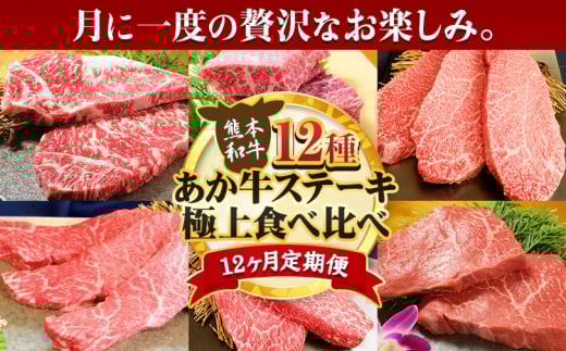 【12ヶ月定期便】あか牛 ステーキ 12種 極上 食べ比べ 定期便 12回《お申込み月の翌月から出荷開始》有限会社 三協畜産 サーロイン ランプ 肩ロース イチボ 三角バラ カイノミ ミスジ クリミ ザブトン シャトーブリアン リブロース モモ あか牛のたれ付き