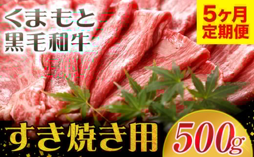 【5ヶ月定期便】牛肉 くまもと黒毛和牛 すき焼き用 500g 長洲町L（桜屋）《お申込み月の翌月から出荷開始》 定期 計5回お届け 熊本県 長洲町 送料無料 黒毛和牛 牛肉 肉 すき焼き