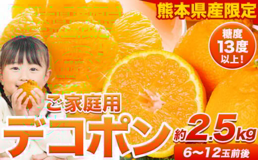 ご家庭用 デコポン デコポン約2.5kg前後(約6-12玉前後)《2026年2月上旬-4月末頃出荷》不知火 熊本県産 熊本県 長洲町 糖度13度以上