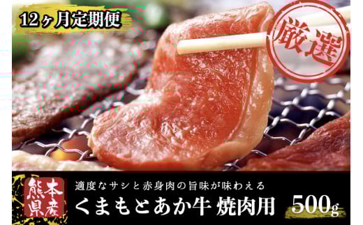 【12ヶ月定期便】GI認証取得 くまもとあか牛(焼肉用500g) 定期便 12ヶ月 熊本県産 あか牛 焼肉用 500g 12回 1年 くまもとあか牛 GI認証取得 和牛 国産牛 肉 牛 焼肉 赤身 バーベキュー ギフト 贈答用 阿蘇牧場 熊本 阿蘇 南小国町 送料無料