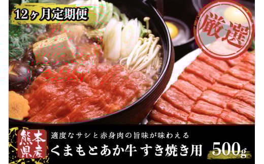 【12ヶ月定期便】GI認証取得 くまもとあか牛(すき焼き用500g) 定期便 12ヶ月 熊本県産 あか牛 すき焼き用 500g 12回 1年 くまもとあか牛 GI認証取得 国産牛 牛 牛肉 肉 和牛 赤身 すき焼き しゃぶしゃぶ 鍋 ギフト 贈答用 阿蘇牧場 熊本 阿蘇 南小国町 送料無料