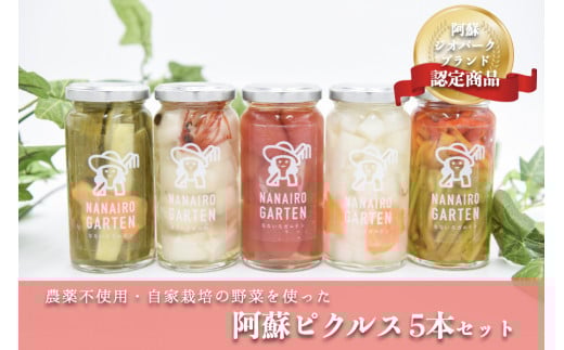 毎年大人気!阿蘇ピクルス5本セット  阿蘇ピクルス 5本 セット 5種 140g ピクルス 詰め合わせ ピーマン パプリカ 里芋 きゅうり 胡瓜 アイコトマト 大根 ギフト 贈答用 工房 菜々色 熊本 阿蘇 南小国町 送料無料
