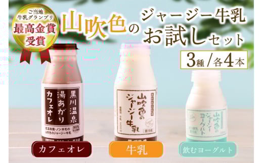 黒川温泉発 山吹色のジャージー牛乳 お試しセット 【FOODEX JAPAN 2017 最高金賞受賞】 3種 12本 ジャージー牛乳 飲むヨーグルト 牛乳 200ml 150ml カフェオレ コーヒー牛乳 詰め合わせ アソート セット 乳製品 飲料 健康 腸活 免疫力アップ 乳酸菌 ご当地牛乳グランプリ 最高金賞 ご当地 ギフト 贈答用 山のいぶき 熊本 阿蘇 南小国町 送料無料