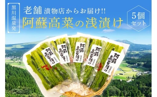 【黒川温泉発】阿蘇高菜の浅漬け(5個入) 阿蘇高菜 浅漬け 160g 5個 高菜 漬物 高菜漬け 高菜漬物 お取り寄せ ギフト 贈答用 黒川温泉 平野朝光商店 九州 熊本 阿蘇 南小国町 送料無料