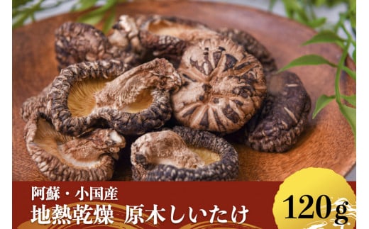 【地熱の里 坂本農園】阿蘇 熊本 小国郷 小国産 原木しいたけ 乾燥しいたけ 椎茸 ドライ 地熱乾燥 わいた温泉郷 SDGs 常温保管 30g 4袋 計120g ご自宅用 贈り物 プレゼント