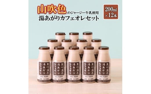 [山のいぶき]湯あがりカフェオレ 山吹色のジャージー牛乳 乳脂肪分 5%以上 低温殺菌 素材の味 200ml 12本 飲みきり ギフト 贈答 セット FOODEX JAPAN ご当地牛乳グランプリ 最高金賞 味の評価審査賞 購買欲審査賞 熊本 阿蘇 小国郷