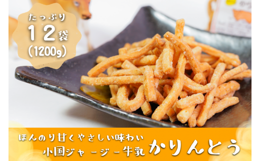 【児玉酒店】阿蘇小国ジャージー牛乳 かりんとう 100g 12袋 1200g 小国のお土産 特産品  サクサク やみつき おやつ 手作り ほんのり甘い 優しい味わい こだわり ギフト 贈答 贈り物 熊本 阿蘇 小国郷