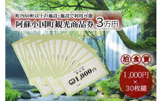 【ASOおぐに観光協会】熊本 阿蘇 小国町 杖立温泉 わいた温泉郷 湯けむり 蒸し湯 ジャージー牛乳 小国杉 旅行 観光 宿泊 飲食 お買い物 お土産 商品券 宿泊券 1000円券 30枚 3万円 現地払い利用 地域振興 旅行支援
