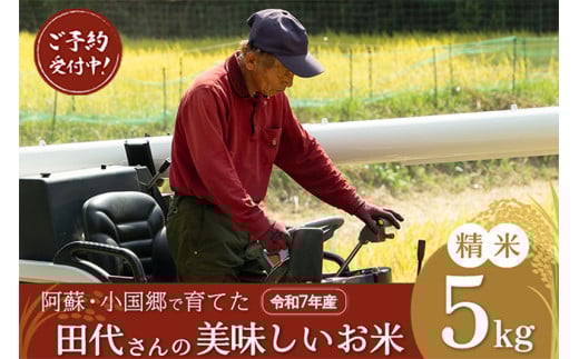【先行予約】令和7年産 新米 精米 5kg あきげしき ひのひかり こしひかり 11月出荷 産直 ノンブレンド米 単一原料 お米 白米 精白米 銘柄おまかせ ヒノヒカリ コシヒカリ 熊本 阿蘇 小国町 産地直送 国産 日本産 地場産 贈答 田代さんのお米