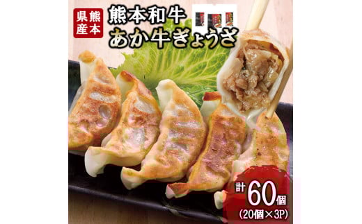 【三協畜産】熊本和牛 あか牛 熊本県産 肥育 加工品 阿蘇 熊本 褐毛和種 褐牛 和牛 ご当地 あか牛100% 牛肉 餃子 ぎょうざ 20個 3セット 計60個 ジューシー 惣菜 おかず ご飯のお供 熊本名物 ご家庭用 ギフト 贈答用  小国町ふるさと納税