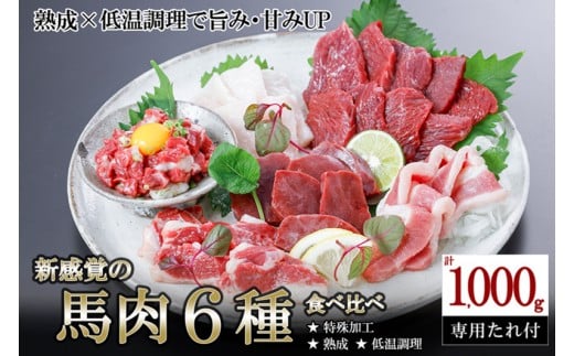 【令和8年1月出荷分】厳選 馬肉 盛り合わせ 6種 1000g 1kg 赤身 フタエゴ ハツ サガリ ユッケ コウネ 特許製法 氷温熟成 低温調理 レア 小分け 焼くだけ簡単 専用醤油 タレ付 真空パック 熊本 小国町
