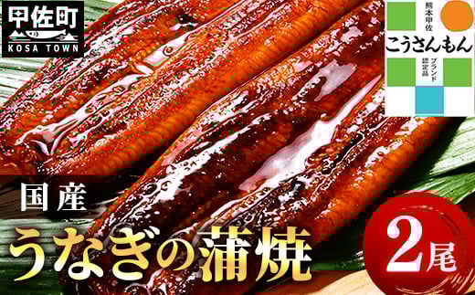 【甲佐ブランド】 うなぎ 蒲焼き 2尾 【こうさんもん認定商品】熊本産 国産 総重量300g以上 - うなぎ 鰻 蒲焼 国産 熊本産 こうさんもん 甲佐ブランド 甲佐町特産 蒲焼き ふっくら 冷凍 熊本県 甲佐町
