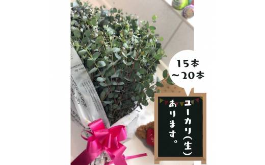 ユーカリ(生)フラワーアレンジ - ブーケ 生花 アレンジメント 国産 熊本県産 切り花 15~20本 インテリア 虫よけ作用 人気 おすすめ 熊本県 甲佐町