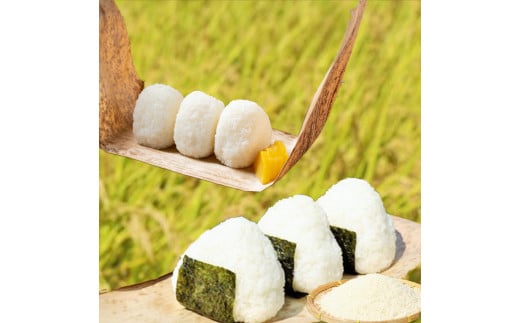 【先行予約】★令和7年11月から配送予定★甲佐町 上田さんが育てた美味しいお米(白米)30kg - お米 白米 精米 米 ひのひかり ヒノヒカリ 国産 九州産 熊本県 熊本県産 甲佐町