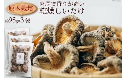 干し椎茸 しいたけ 乾燥 約95g 3 計約285g 肉厚 原木栽培 乾燥しいたけ [日添 熊本県 五木村 51120303] 椎茸 乾燥椎茸 シイタケ