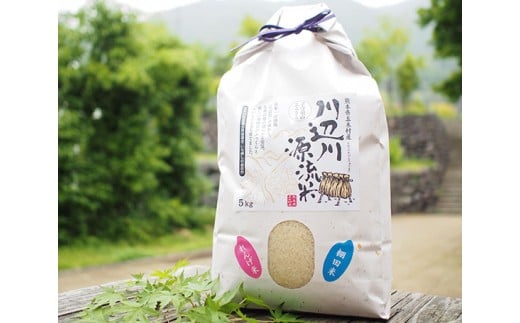 五木の掛け干し米 5kg [子守唄の里五木 熊本県 五木村 51120332] お米 精米 米 こめ コメ ご飯 ごはん 白米 れんげ米 熊本県 特産