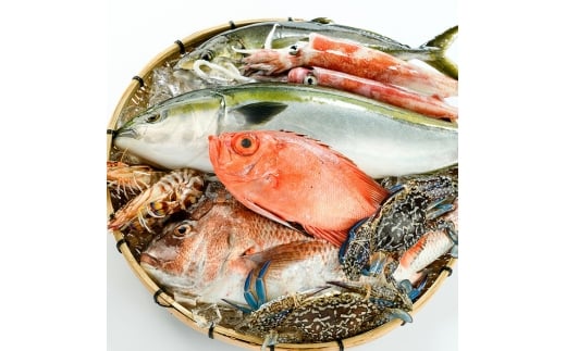 ＜定期便＞ 魚介類定期便 (全12回 ・連続) 魚 魚介 海鮮 いか イカ たこ タコ 貝 海老 えび エビ 冷蔵 【opba001】【海べ】