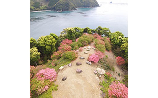 みんなが元気になり、地域の活力を生むための事業