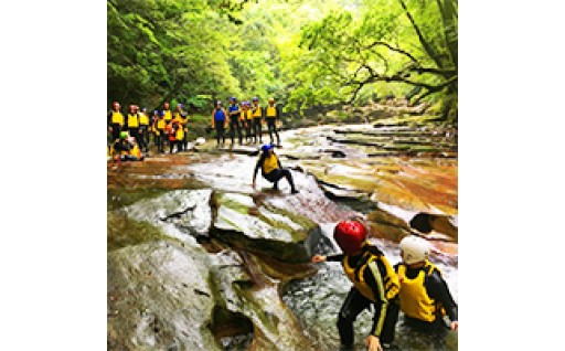 豊かな自然と文化を守り育てるための事業