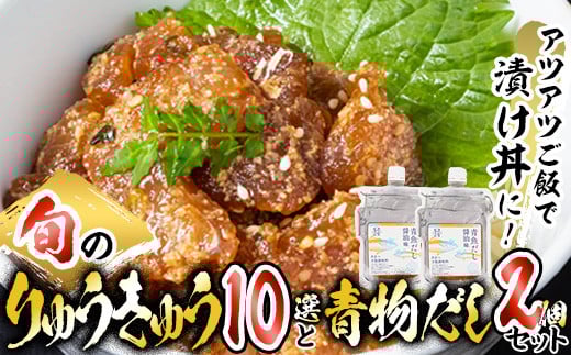 大将の今日のおすすめ!「旬の鮮魚りゅうきゅう10選と青物だし2個セット」詰め合わせ 魚 海鮮 簡単 りゅうきゅう 漬け丼 お茶漬け だし茶漬け 醤油 調味料 加工品 【GA001】【ポートラインサービス (有)】