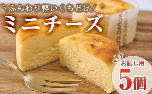 ＜お試し用＞濃厚チーズケーキ (計5個) チーズケーキ チーズ スイーツ 冷凍 お菓子 おやつ 焼き菓子 お取り寄せ 大分県 佐伯市【AJ74】【(有)ケーキ大使館クアンカ・ドーネ】