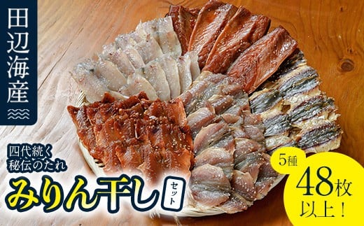 四代続く秘伝のたれ みりん干しセット (合計5種・48枚以上) 干物 ひもの 魚 さかな 鯵 あじ 鯖 さば かます 醤油 食べ比べ おかず 国産 詰め合わせ セット 大分県 佐伯市  【FT01】【田辺海産】