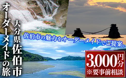 【大分県佐伯市】オリジナルオーダーメイドの旅(3000円分)【GV01】【(有)サンライズトラベル】