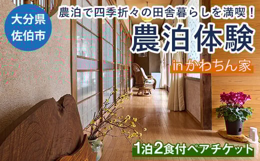 農泊体験・かわちん家 ペア1泊2食(ペアチケット) 体験 宿泊体験 チケット 民泊 宿泊 農村 食事付き 大分県 佐伯市【HD243】【さいき本舗 城下堂】