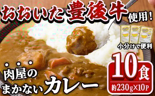 肉屋のまかない 豊後牛 カレー (計2.3kg・230g×10P) レトルト レトルトカレー 簡単調理 湯煎調理 ビーフカレー おおいた豊後牛 ご当地カレー【HE07】【吉野】