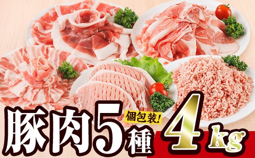 ＼11月発送／ 豚肉 バラエティーパック (合計4kg) 豚バラ しゃぶしゃぶ 鍋 とんかつ ロース 小分け 個包装 豚こま 小間切れ スライス ミンチ 5種 セット 詰め合わせ 冷凍 食べ比べ 国産 大分県 佐伯市【BD325-011】【西日本畜産】