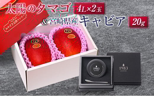 太陽のタマゴ(4L×2玉)と宮崎県産キャビア20g