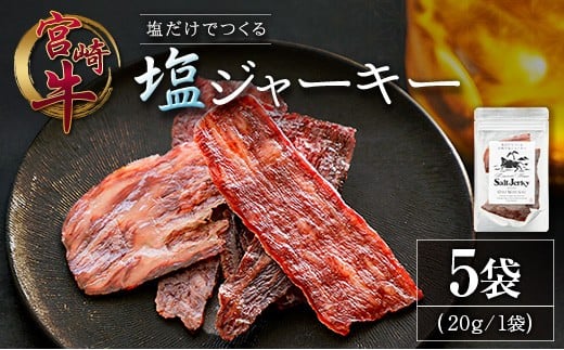 塩だけでつくる 宮崎牛 塩ジャーキー 5袋（20g×5袋）ブランド牛 ビーフジャーキー おつまみ 珍味 グルメ 干し肉 宮崎県産