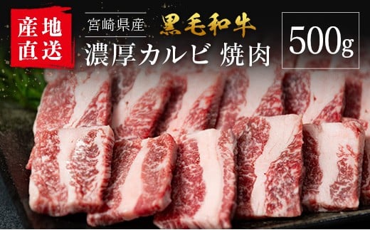 【産地直送】宮崎県産 黒毛和牛 濃厚カルビ 焼肉 500g