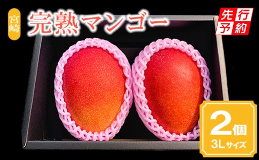 《2026年発送先行予約》【期間・数量限定】宮崎市産完熟マンゴー2玉 3Lサイズ(1玉400~449g)_M126-015_01
