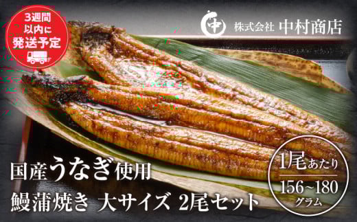 鰻蒲焼 大サイズ2尾セット 冬うなぎ_M069-008_03
