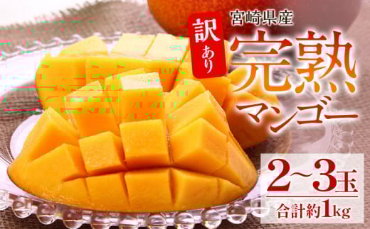 《2026年発送先行予約》【数量・期間限定】【訳あり】 完熟マンゴー 合計約1kg (2~3玉) 人気 おすすめ 訳あり 宮崎 宮崎マンゴー 完熟 完熟マンゴー マンゴー 果物 フルーツ くだもの デザート スイーツ 果肉 果汁 2個 3個 甘い 家庭用 自宅用 南国フルーツ 南国 特産品 名物 ご当地グルメ グルメ 2玉 3玉 1kg オススメ 宮崎県 宮崎市 宮崎県産 宮崎_M126-026