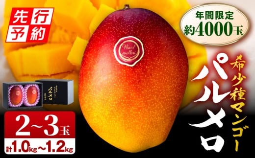 《2026年発送先行予約》【期間・数量限定】宮崎県産 希少種マンゴー パルメロ 計 約1.0kg~1.2kg 2~3玉入り 人気 おすすめ 宮崎 宮崎マンゴー 完熟 完熟マンゴー マンゴー 果物 フルーツ くだもの デザート スイーツ 果肉 果汁 2個 3個 甘い 芳醇 南国フルーツ 南国 特産品 名物 ご当地グルメ グルメ ギフト 贈り物 プレゼント 2玉 3玉 希少 1kg_M223-001