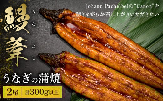 うなぎ蒲焼 「鰻葦」 2尾 冬うなぎ_M263-003