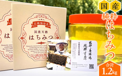 【数量限定】宮崎県産純粋ハチミツ(600g×2本)_M126-006_01