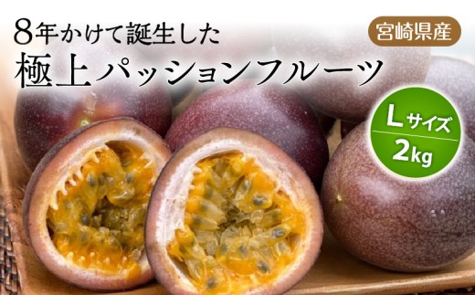 《2026年発送先行予約》【数量・期間限定】8年かけて誕生した宮崎県産極上パッションフルーツL 2kg_M057-005
