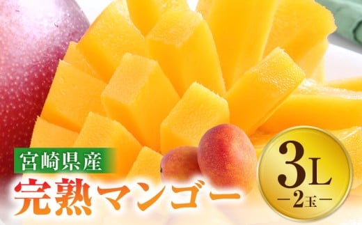 《2026年発送先行予約》【数量・期間限定】宮崎特産品 宮崎県産完熟マンゴー 3L×2玉_M275-002