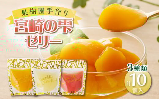 宮崎の雫ゼリー マンゴーゼリー65g 4個・日向夏ゼリー65g 4個・グァバゼリー65g 2個_M339-002