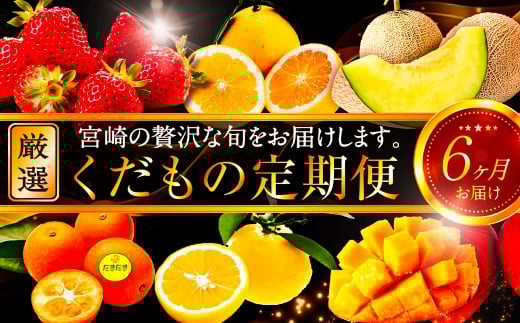 《2026年発送先行予約》【数量・期間限定】青果店厳選！「6ヶ月お届け！くだもの定期便Vol.1」_M153-T025