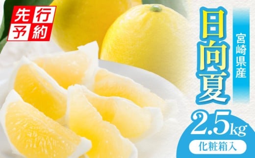 《2026年発送先行予約》【期間・数量限定】宮崎県産日向夏2.5kg　化粧箱入り_M359-005