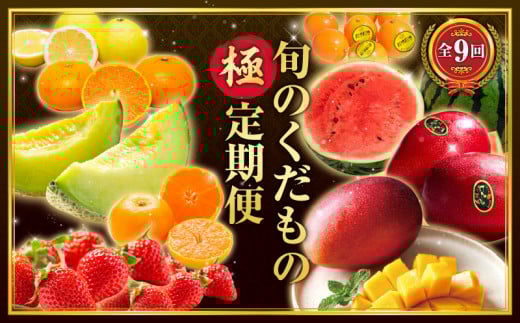 【数量限定】旬のくだもの【極】定期便【全9回】 果物 フルーツ 果物定期便 フルーツ定期便 きんかん いちご せとか マンゴー 太陽のタマゴ スイカ メロン みかん 日向夏 完熟きんかんたまたま 大粒いちご 完熟マンゴー 太陽のタマゴ 大玉スイカ 高糖度メロン 温州みかん 種無し日向夏 旬 季節 定期便 果実 青果 青果物 柑橘 お取り寄せ 宮崎県 宮崎市_M153-T043