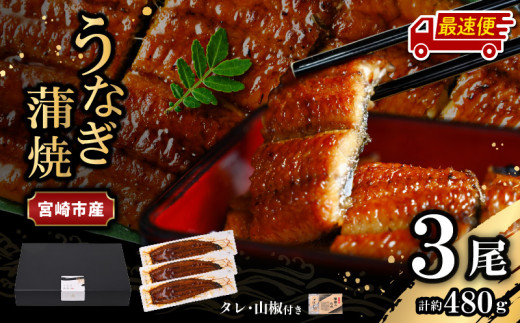 【最速便】【日時指定可能】宮崎県宮崎市産　うなぎの蒲焼　約480g（約160g×3尾）タレ・山椒セット_M325-007-2W