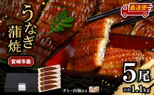 [最速便][日時指定可能]宮崎県宮崎市産 うなぎの蒲焼 約1.1kg(約220g×5尾)タレ・山椒セット|鰻 うなぎ ウナギ うなぎ蒲焼 鰻蒲焼 ウナギの蒲焼 宮崎県産 蒲焼 ギフト 丑の日 タレ 鰻のたれ うなぎのたれ 宮崎うなぎ 宮崎県 宮崎市|
