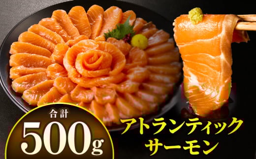 アトランティックサーモン 500g_M372-002-01
