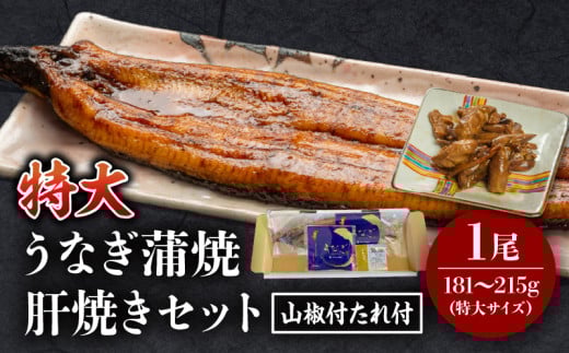 [2025年8月発送予定]国産うなぎ蒲焼(特大サイズ)・肝焼きセット_M069-015_01-aug